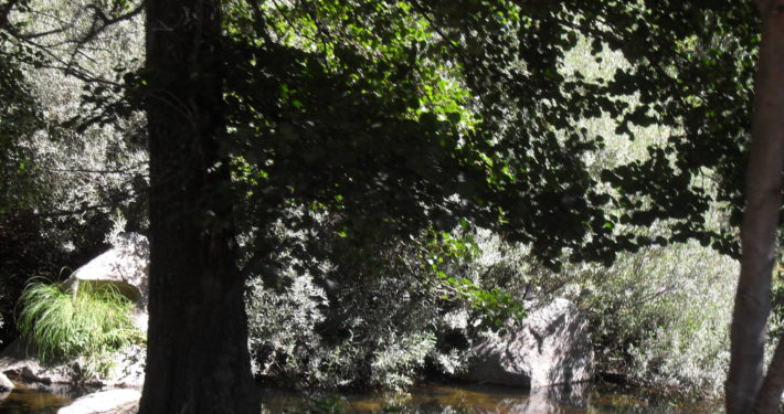 Río Alberche - Puente Nueva